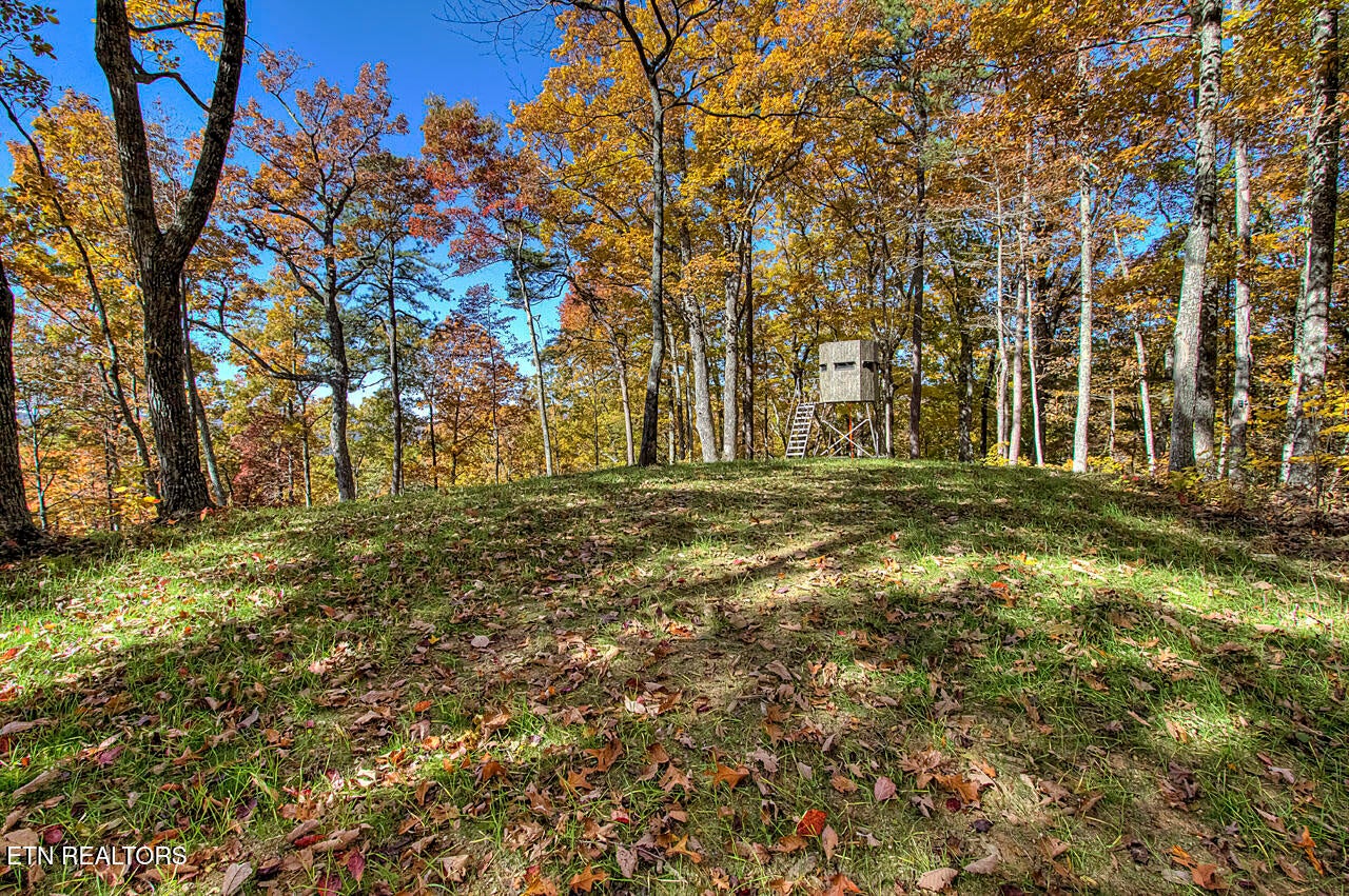 Walland, Tennessee, 37886, United States, 7 Bedrooms Bedrooms, ,6 BathroomsBathrooms,Residential,Active,1910366
