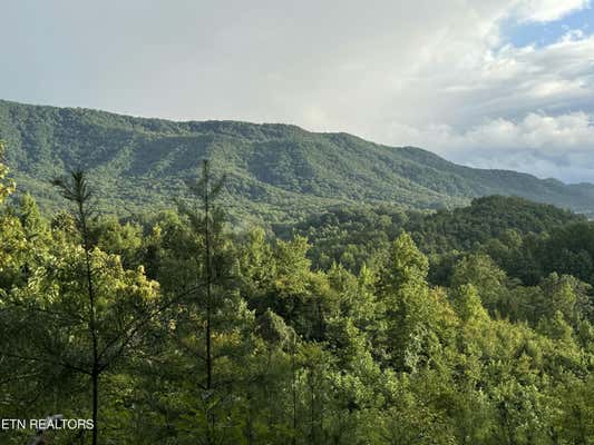 AR DAVIS RD, SEYMOUR, TN 37865 - Image 1