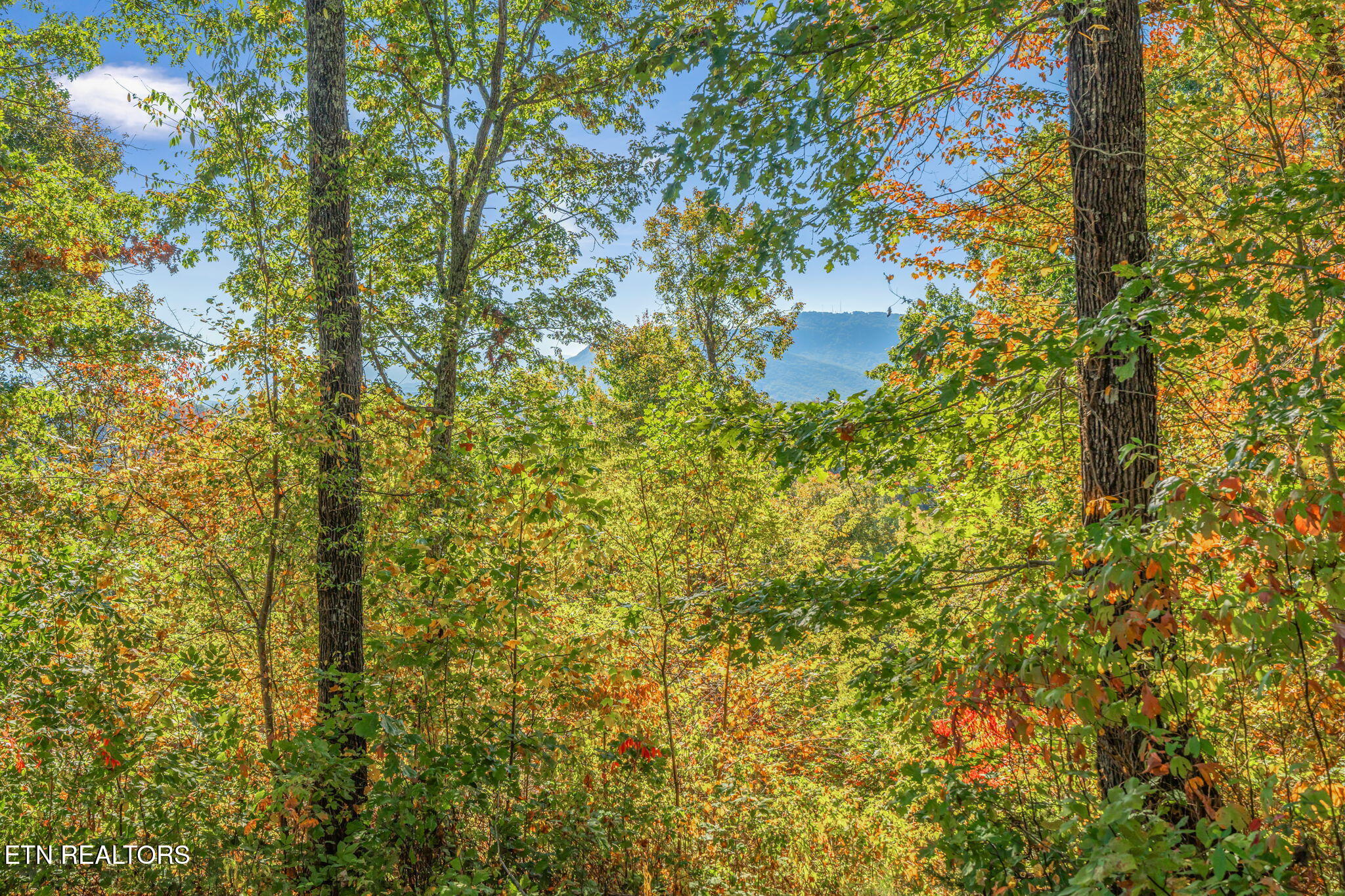 Seymour, Tennessee, 37865, United States, 2 Bedrooms Bedrooms, ,2 BathroomsBathrooms,Residential,Active,1966023