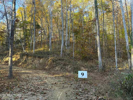 TRACT 9 TOPAZ WAY, PARROTTSVILLE, TN 37843 - Image 1