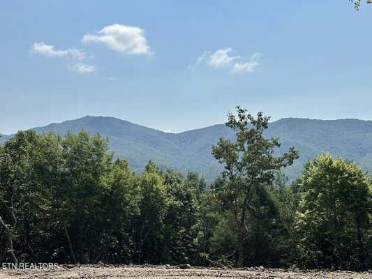 3.86 ACRES HAROLD WITT RD, TELLICO PLAINS, TN 37385 - Image 1