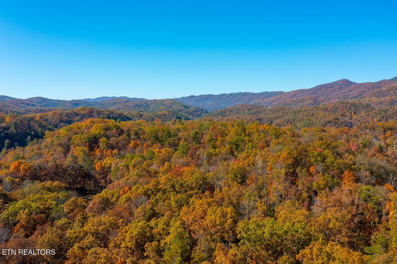 Walland, Tennessee, 37886, United States, 7 Bedrooms Bedrooms, ,6 BathroomsBathrooms,Residential,Active,1910366