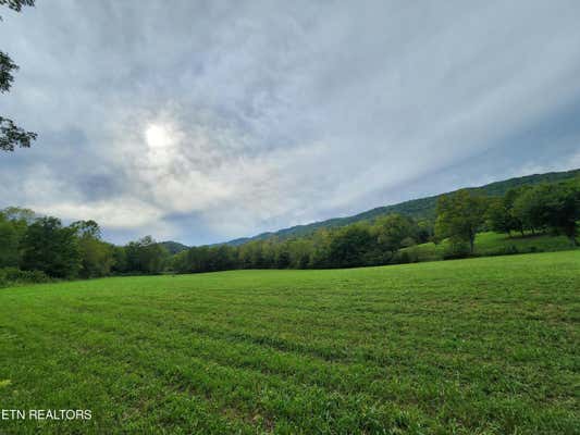 3252 AJ OSBORNE HWY, BLACKWATER, VA 24221 - Image 1