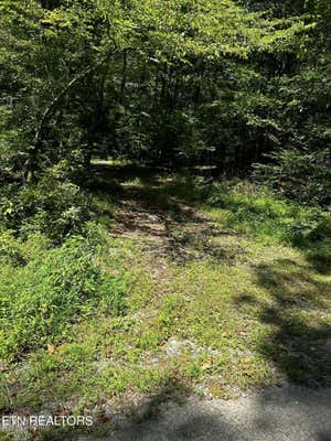 BAILEY RD, TELLICO PLAINS, TN 37385 - Image 1