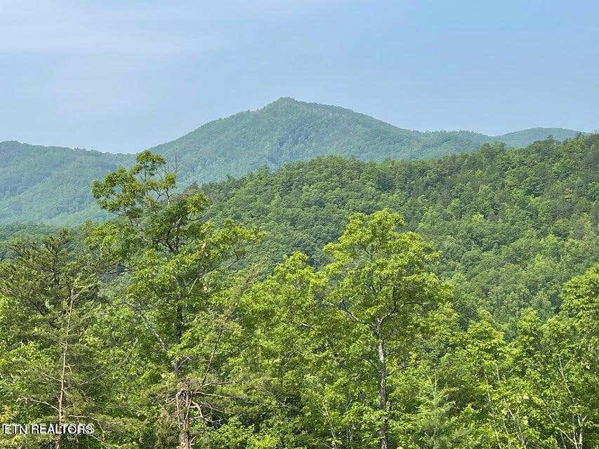 LOT 1 CANEY CREEK RD, PIGEON FORGE, TN 37863, photo 1