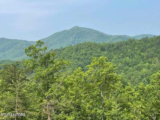 LOT 1 CANEY CREEK RD, PIGEON FORGE, TN 37863 - Image 1