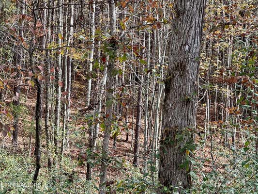 LOWER ROCKWOOD RD LOT 20, ROCKWOOD, TN 37854 - Image 1