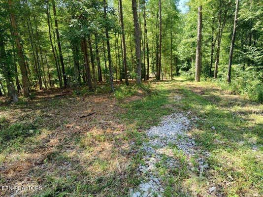 ASHE CABIN HOLLOW RD, HARRIMAN, TN 37748 - Image 1