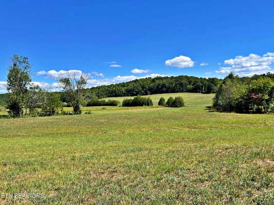 N NO PONE VALLEY ROAD, DECATUR, TN 37322 - Image 1