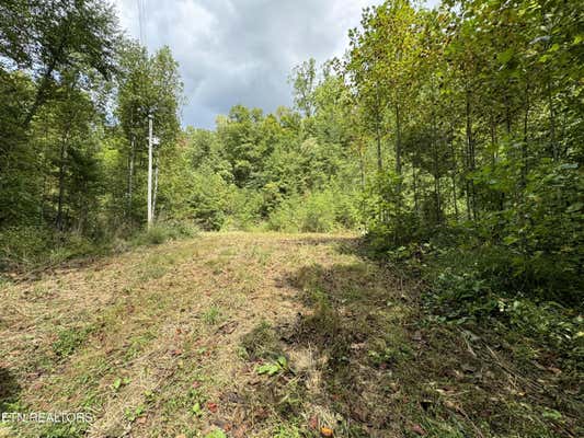 4031 TRAIL HOLLOW ROAD RD, COSBY, TN 37722 - Image 1