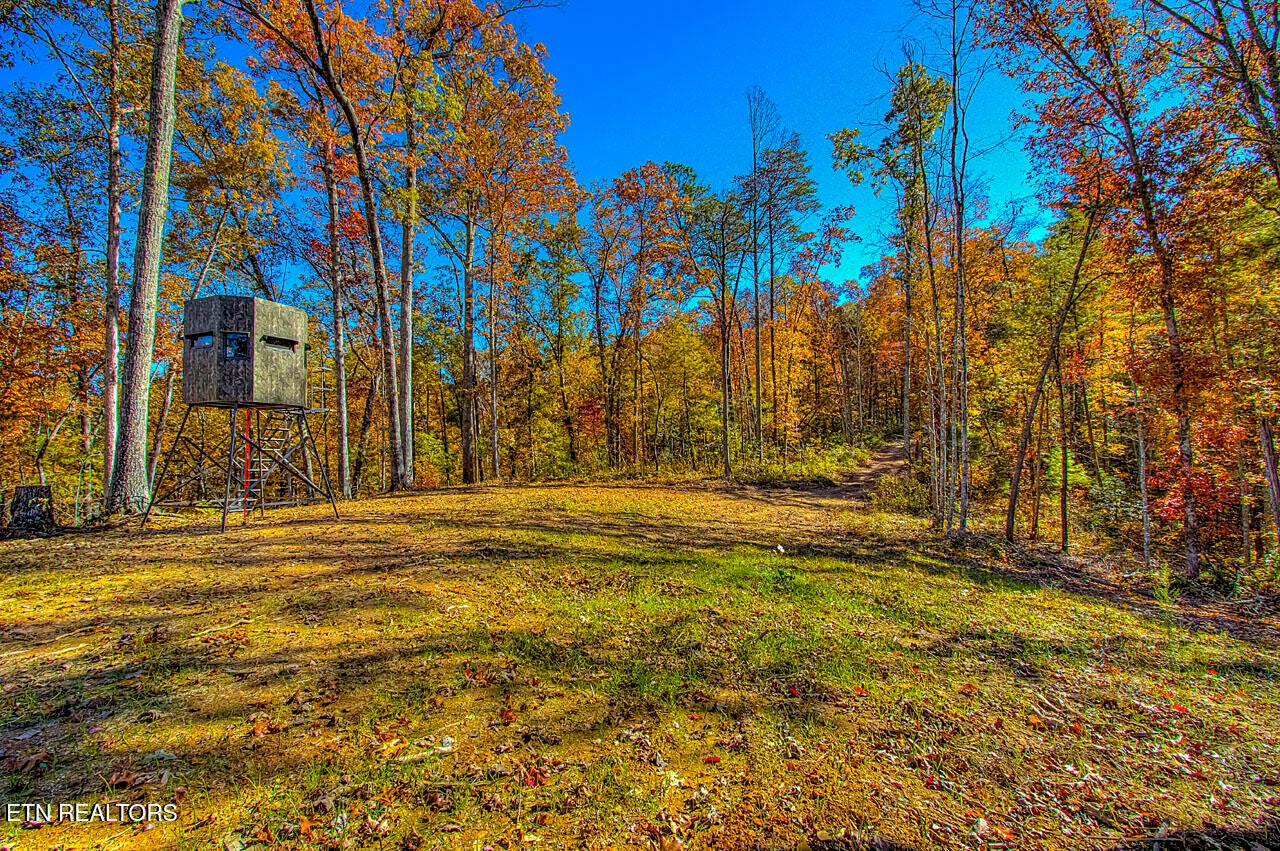 Walland, Tennessee, 37886, United States, 7 Bedrooms Bedrooms, ,6 BathroomsBathrooms,Residential,Active,1910366