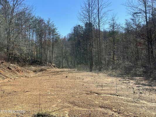 SLOAN RD LOT 13, VONORE, TN 37885 - Image 1