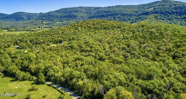 UPPER EAST VALLEY RD, PIKEVILLE, TN 37367, photo 2 of 7