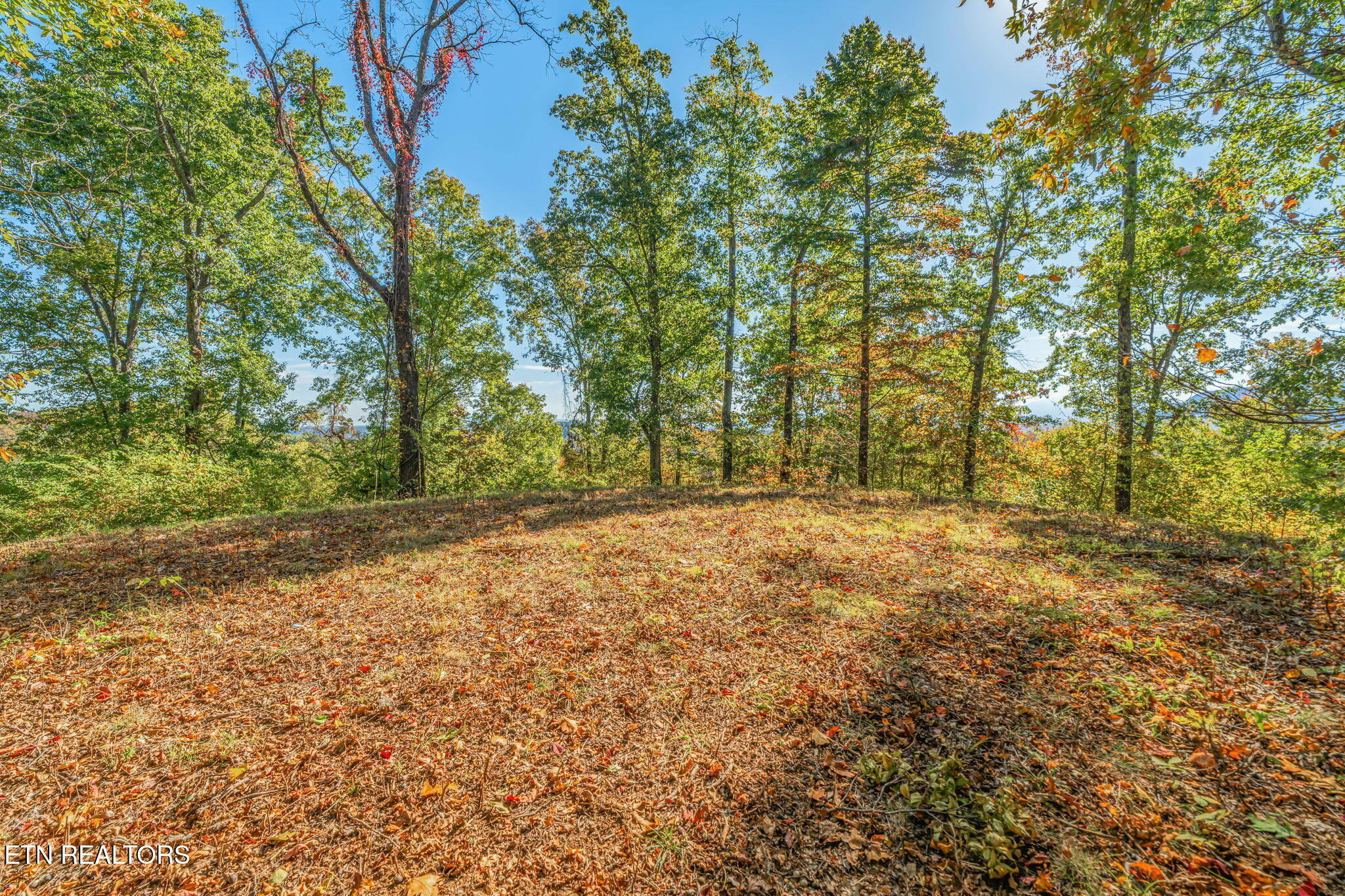 Seymour, Tennessee, 37865, United States, 2 Bedrooms Bedrooms, ,2 BathroomsBathrooms,Residential,Active,1966023