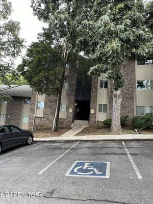 3636 TALILUNA AVE APT 518, KNOXVILLE, TN 37919 - Image 1