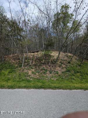 TBD BLUFF VIEW RD, NEW TAZEWELL, TN 37825 - Image 1