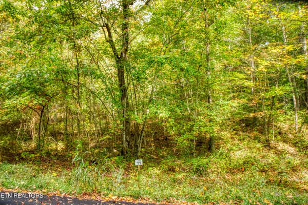 LOT 11 OLD MOUNT HELEN RD, ALLARDT, TN 38504 - Image 1