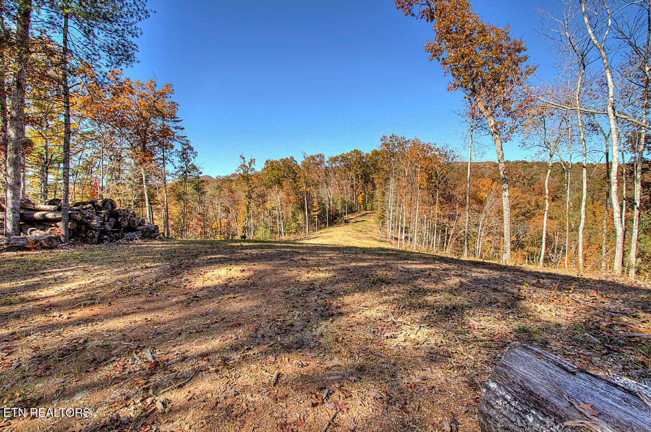 Walland, Tennessee, 37886, United States, 7 Bedrooms Bedrooms, ,6 BathroomsBathrooms,Residential,Active,1910366