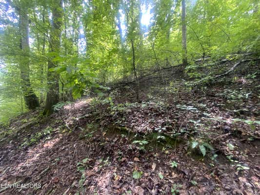 LOT 64 HIWASSEE VIEW DRIVE, JACKSBORO, TN 37757 - Image 1