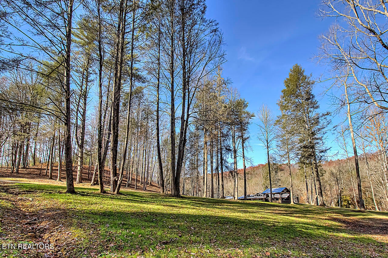 Walland, Tennessee, 37886, United States, 7 Bedrooms Bedrooms, ,6 BathroomsBathrooms,Residential,Active,1910366
