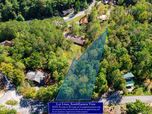 LOT 1D W GOLD DUST DRIVE, PIGEON FORGE, TN 37863 - Image 1