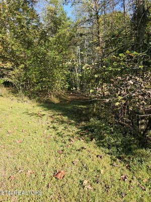 SCENIC RIVER RD, MADISONVILLE, TN 37354 - Image 1