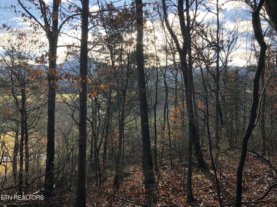 0 LITTLE MEADOW CREEK RD, GREENEVILLE, TN 37743, photo 1 of 9