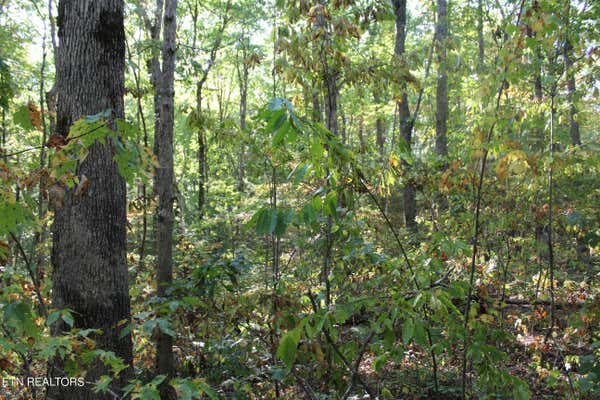 STEWART CREEK RD, JAMESTOWN, TN 38556, photo 4 of 7