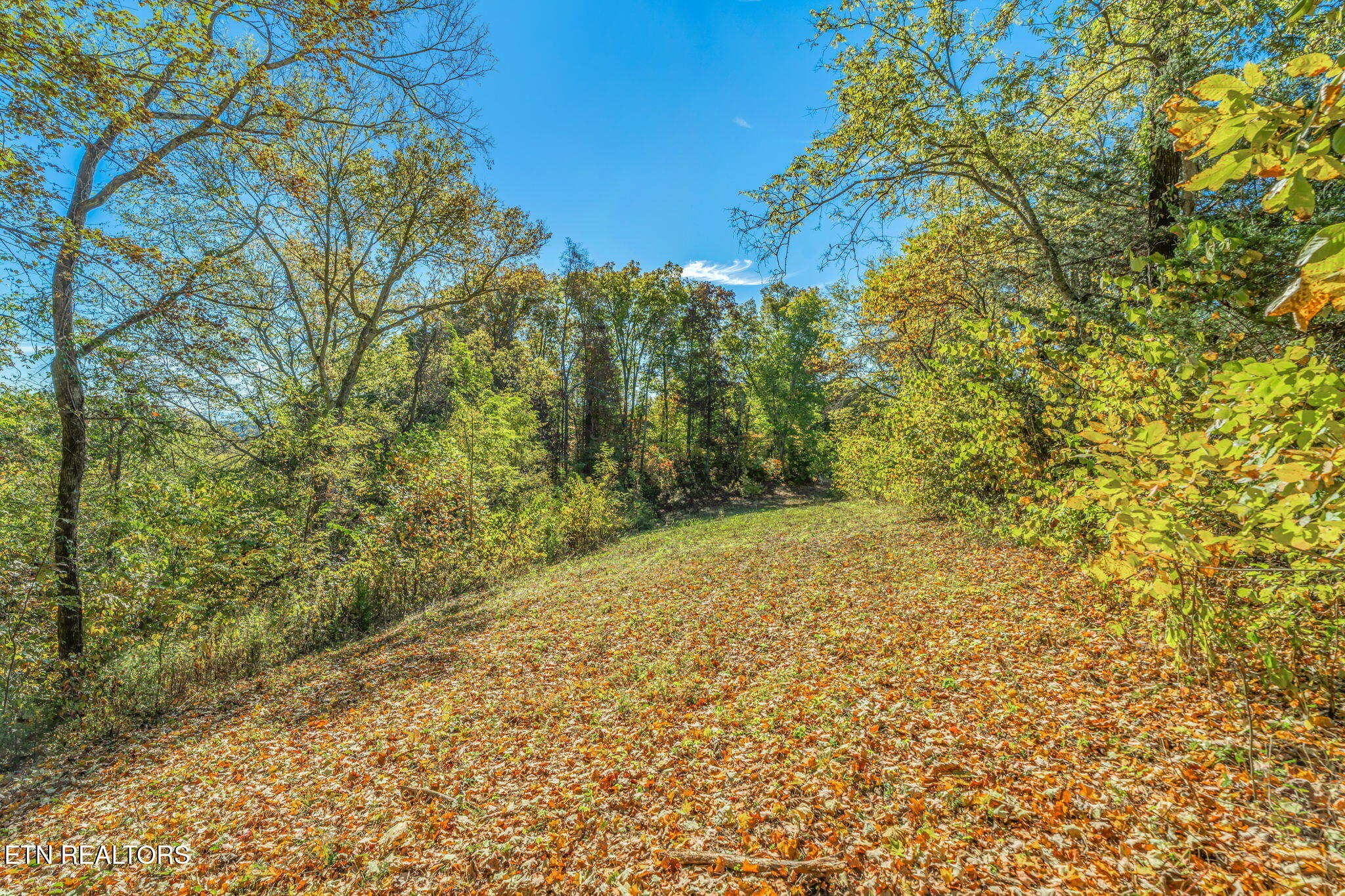 Seymour, Tennessee, 37865, United States, 2 Bedrooms Bedrooms, ,2 BathroomsBathrooms,Residential,Active,1966023