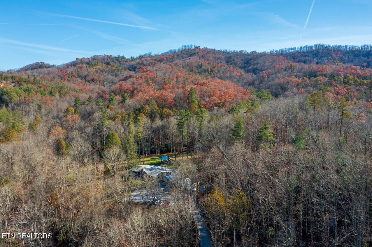 Walland, Tennessee, 37886, United States, 7 Bedrooms Bedrooms, ,6 BathroomsBathrooms,Residential,Active,1910366