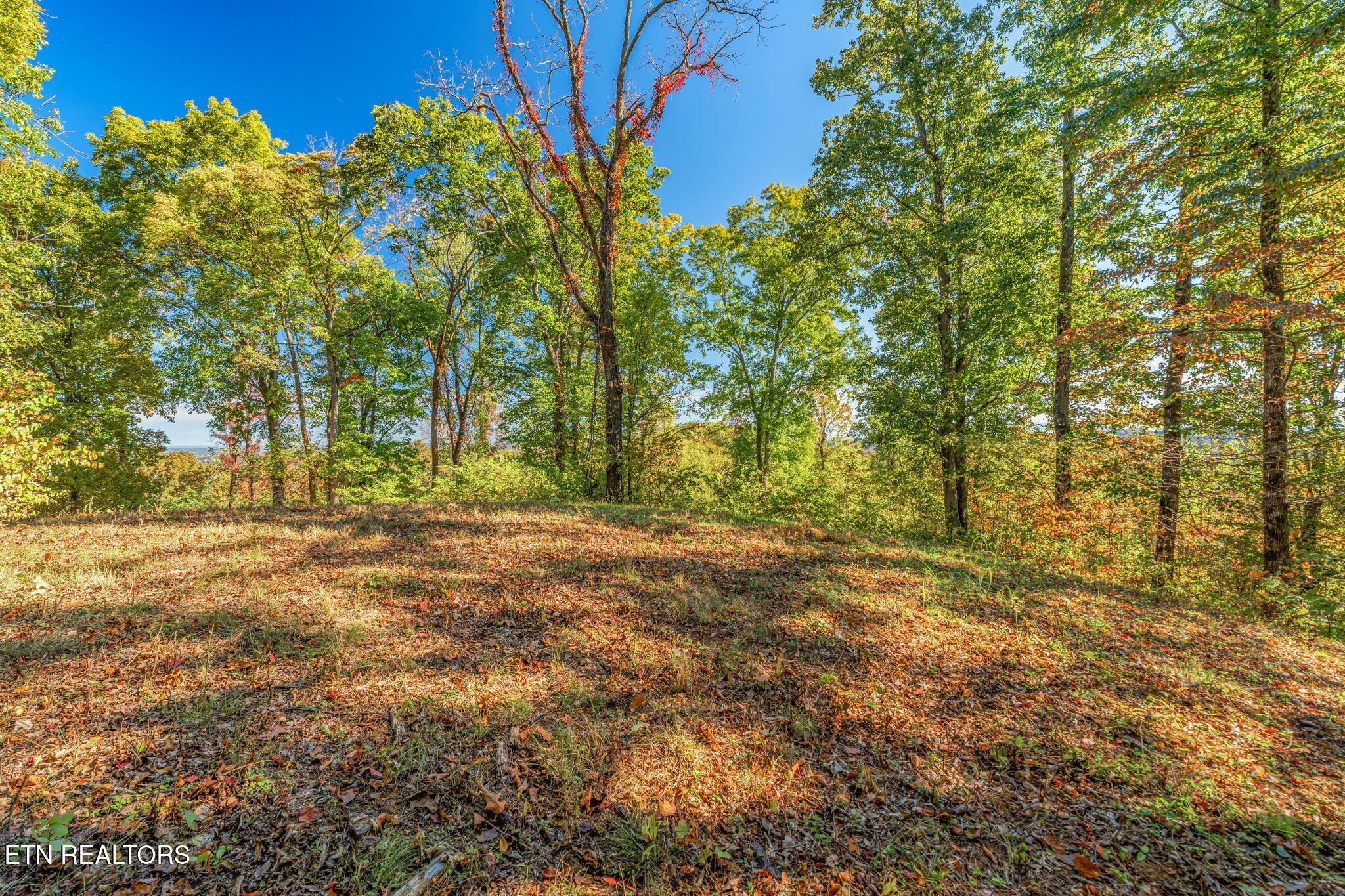 Seymour, Tennessee, 37865, United States, 2 Bedrooms Bedrooms, ,2 BathroomsBathrooms,Residential,Active,1966023