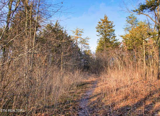 734 HIALEAH DR, KNOXVILLE, TN 37920, photo 1 of 5