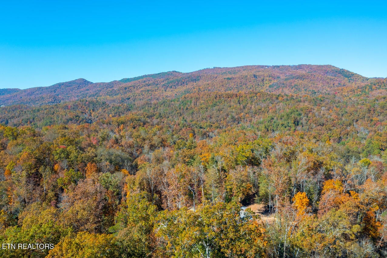 Walland, Tennessee, 37886, United States, 7 Bedrooms Bedrooms, ,6 BathroomsBathrooms,Residential,Active,1910366