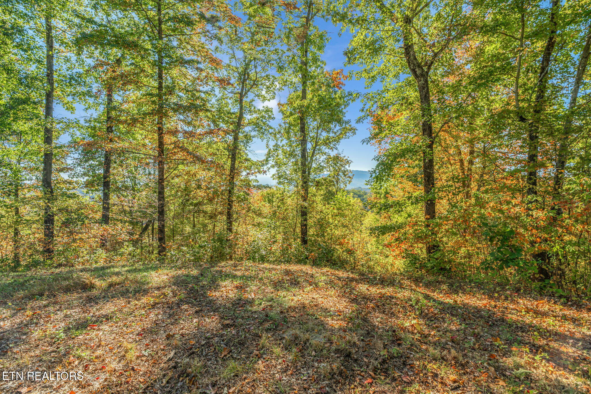 Seymour, Tennessee, 37865, United States, 2 Bedrooms Bedrooms, ,2 BathroomsBathrooms,Residential,Active,1966023