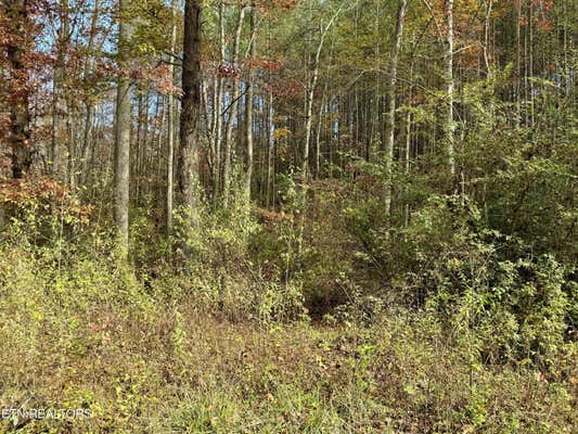 LOWER ROCKWOOD RD LOT 15, ROCKWOOD, TN 37854 - Image 1