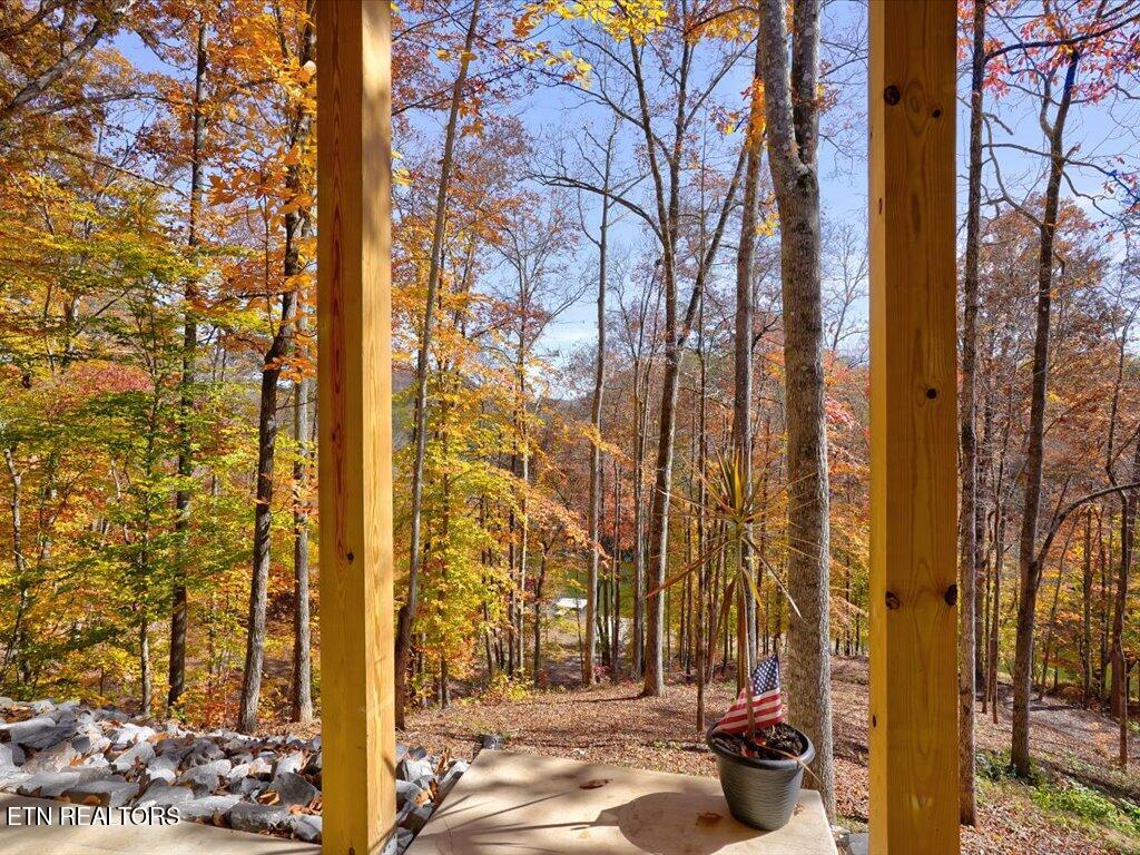 New Tazewell, Tennessee, 37825, United States, 2 Bedrooms Bedrooms, ,2 BathroomsBathrooms,Residential,Active,2007646