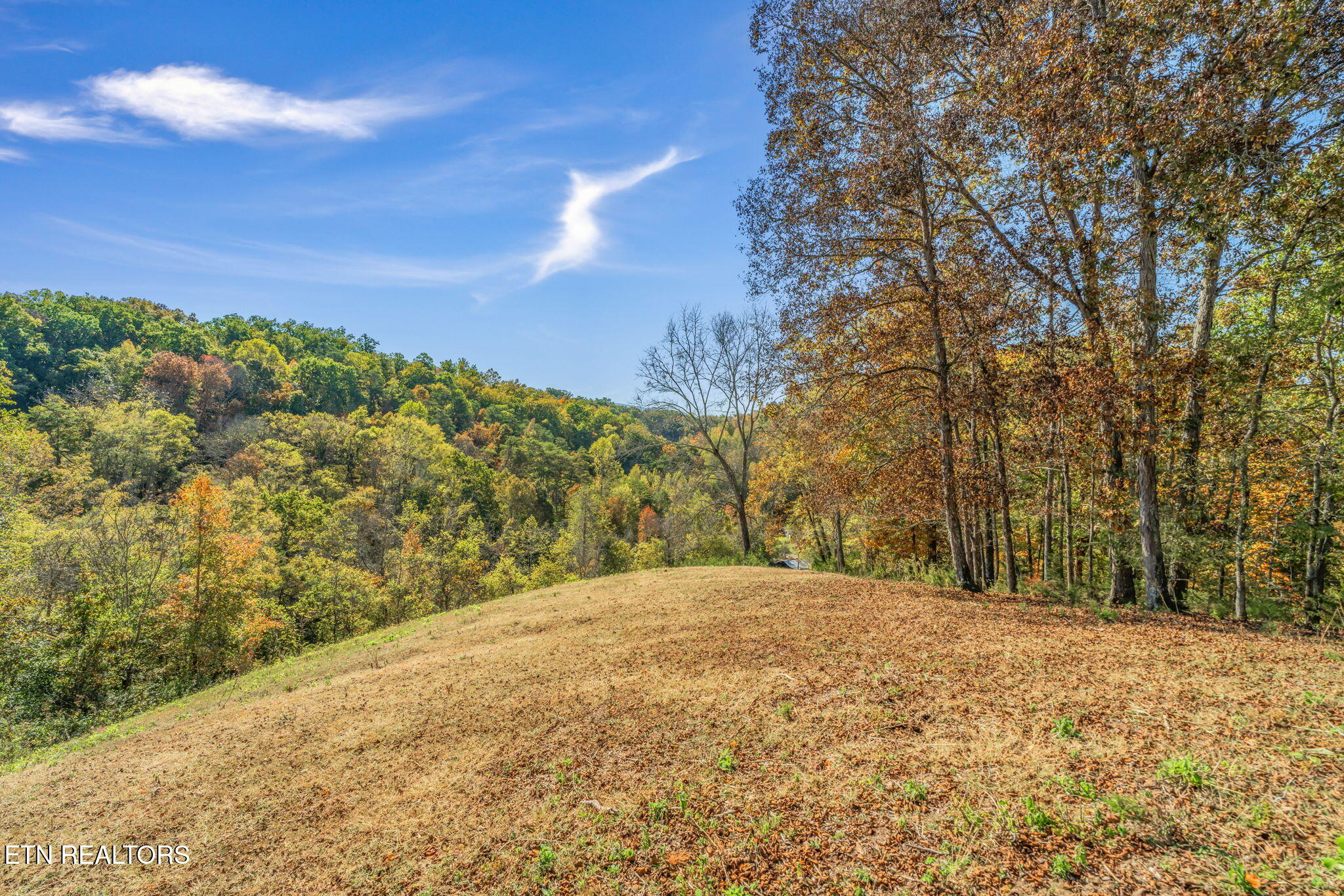 Seymour, Tennessee, 37865, United States, 2 Bedrooms Bedrooms, ,2 BathroomsBathrooms,Residential,Active,1966023