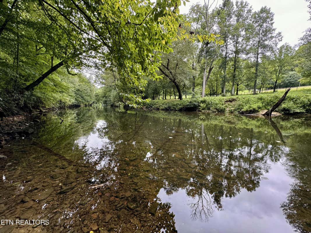 OLD GENESIS RD., CROSSVILLE, TN 38571, photo 1 of 21