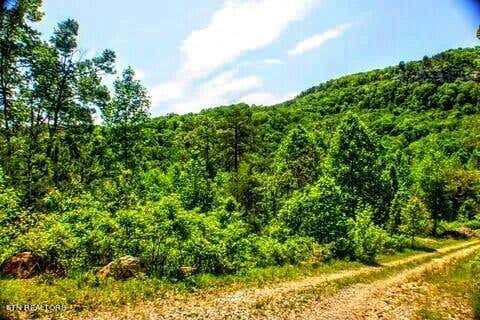 2.2 ACRES BLUE SEWANEE RD, DUNLAP, TN 37327 - Image 1