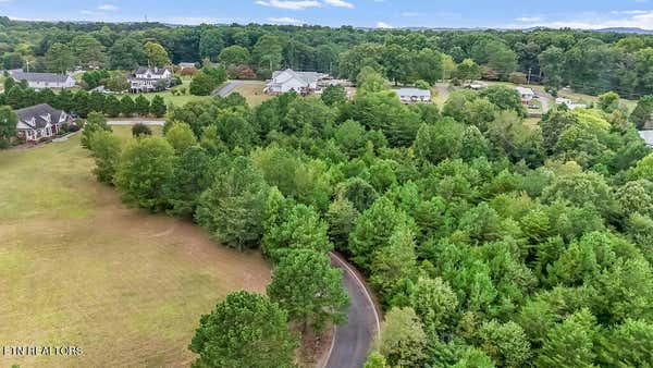 OCOEE RIVER LANDING DRIVE, BENTON, TN 37307, photo 5 of 19