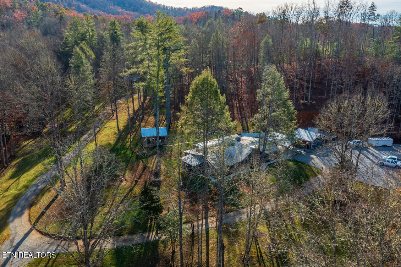 Walland, Tennessee, 37886, United States, 7 Bedrooms Bedrooms, ,6 BathroomsBathrooms,Residential,Active,1910366