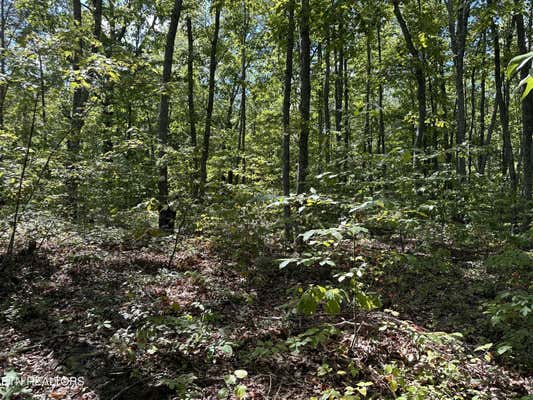 LOT 125 RASPBERRY LANE, JAMESTOWN, TN 38556 - Image 1