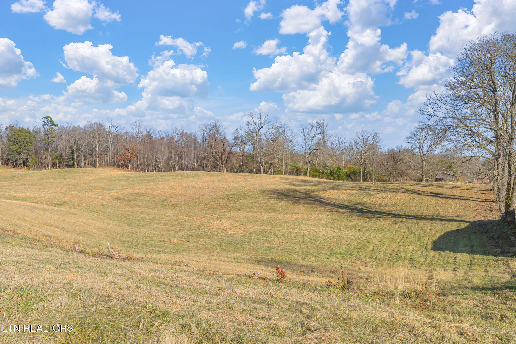 Strawberry Plains, Tennessee, 37871, United States, 3 Bedrooms Bedrooms, ,2 BathroomsBathrooms,Residential,Active,2007043