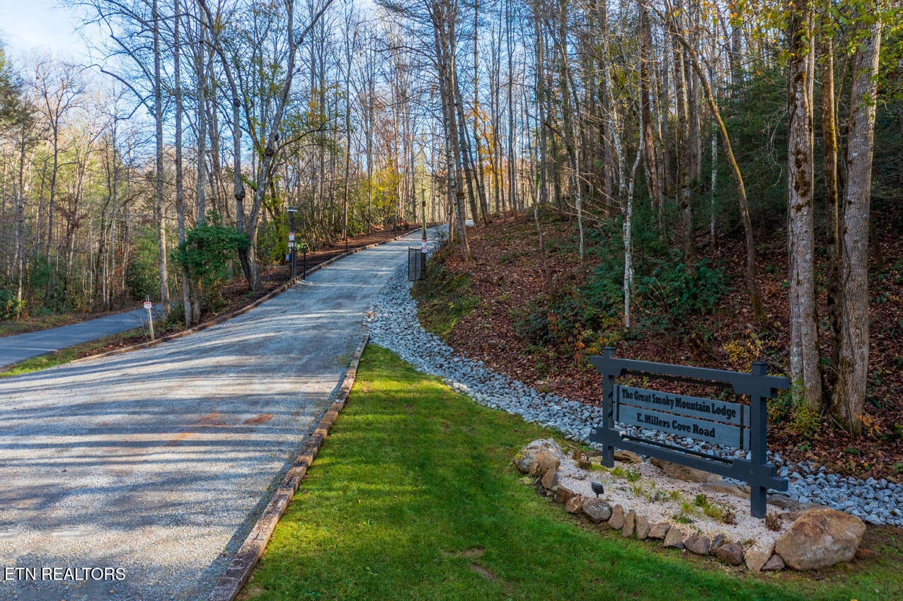 Walland, Tennessee, 37886, United States, 7 Bedrooms Bedrooms, ,6 BathroomsBathrooms,Residential,Active,1910366