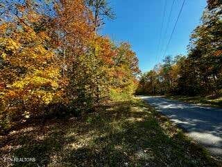 LOT 46 HONEY SPRINGS RD, CRAWFORD, TN 38554 - Image 1