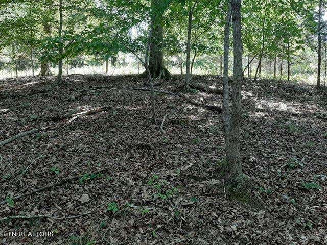 DEER POND CIRCLE, LAFOLLETTE, TN 37766, photo 1 of 6