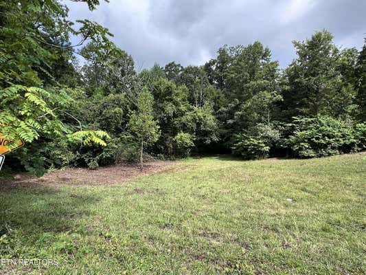 LOT 5 CLEMON RD, BULLS GAP, TN 37711 - Image 1