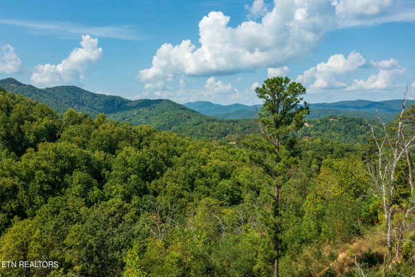 3217 EMERALD SPRINGS LOOP LOT 8, SEVIERVILLE, TN 37862 - Image 1