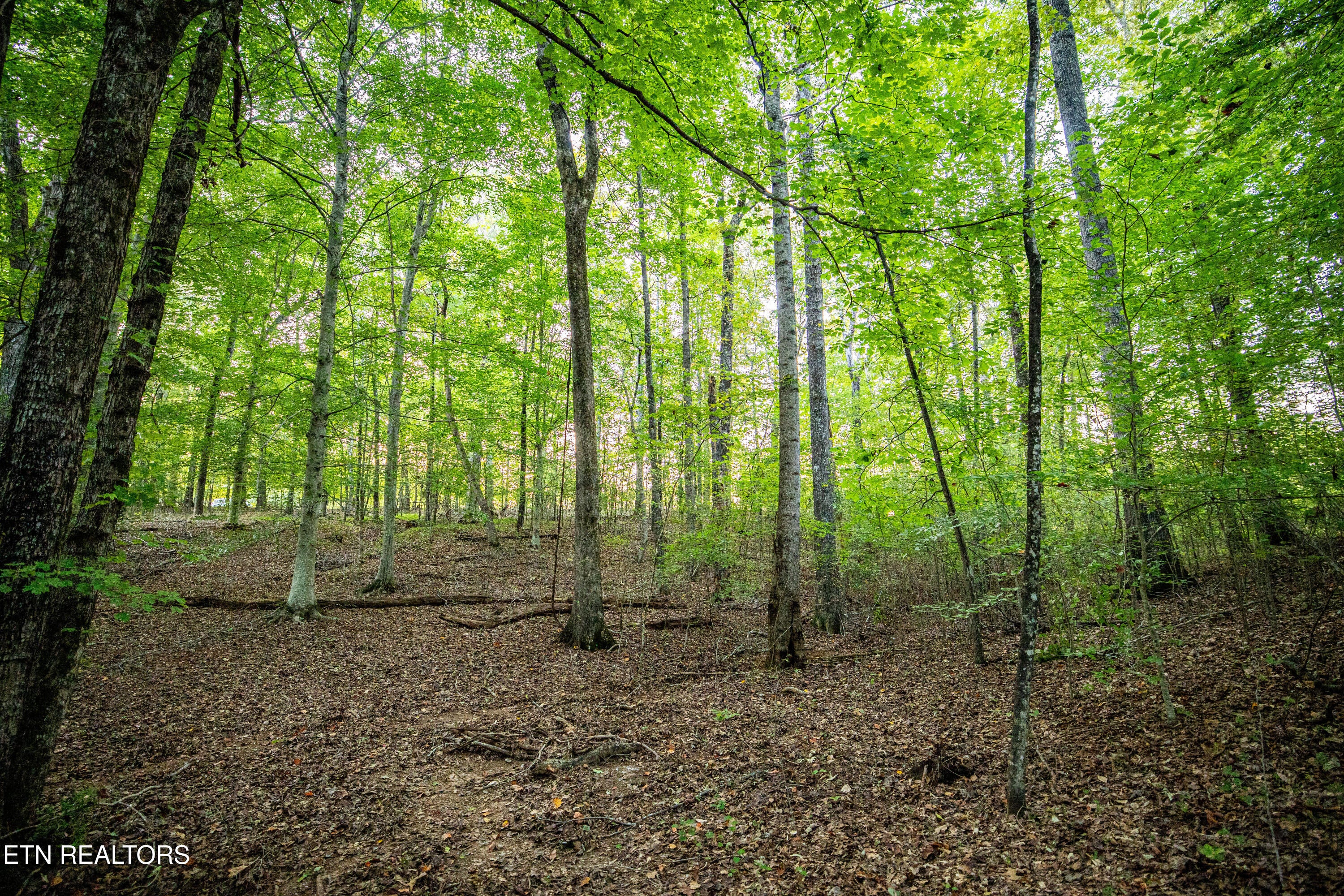 Maryville, Tennessee, 37804, United States, 2 Bedrooms Bedrooms, ,1 BathroomBathrooms,Residential,Active,1945541