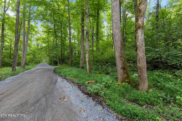 FONTAINE WAY, GATLINBURG, TN 37738, photo 3 of 11